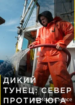 Дикий тунец: Север против Юга 2014