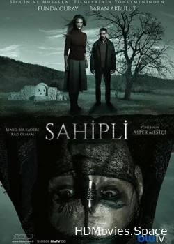 Собственник 2017