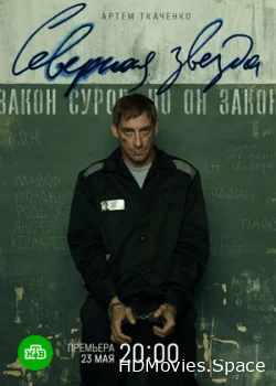 Северная звезда 2020
