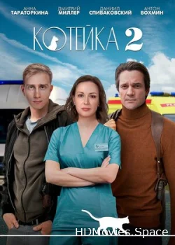 Котейка 2020