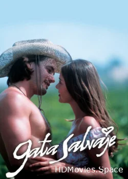 Дикая кошка 2002