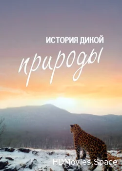 История дикой природы 2020