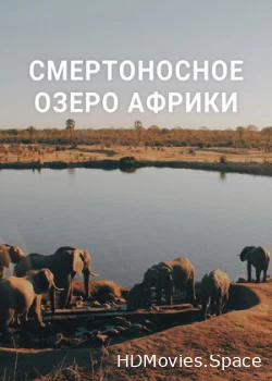 Смертоносное озеро Африки 2020
