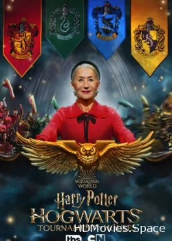 Гарри Поттер: Турнир факультетов Хогвартса 2021