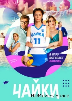 Чайки 2022