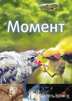 Момент 2016