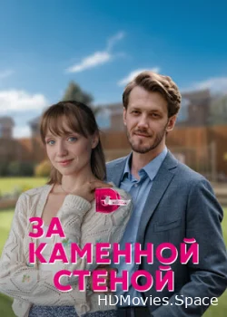 За каменной стеной 2022