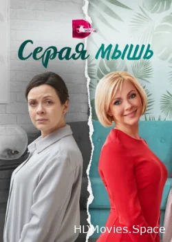 Серая мышь 2023
