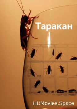 Таракан 2010