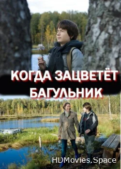 Когда зацветёт багульник 2010