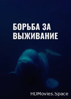 Борьба за выживание 2017