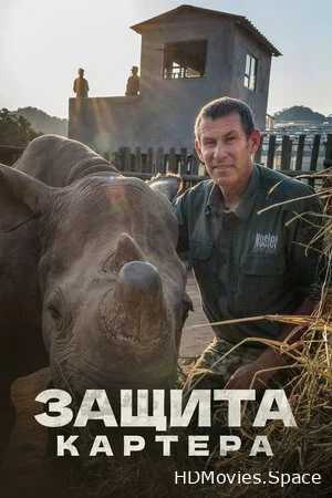 Защита Картера 2015