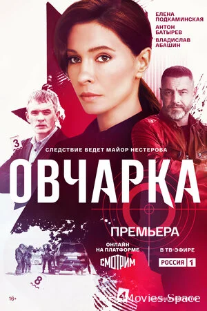 Овчарка 2024