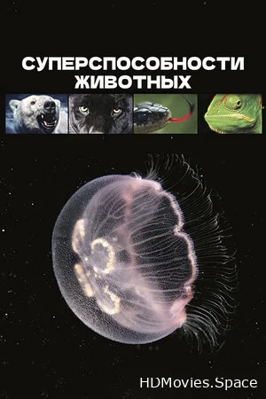 Суперспособности животных 2015