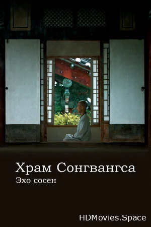Храм Сонгванса. Эхо сосен 2020