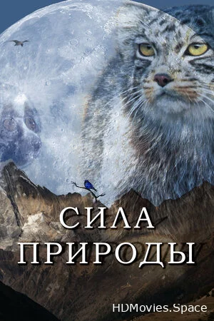 Сила природы 2020