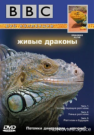 BBC: Живые драконы 2004