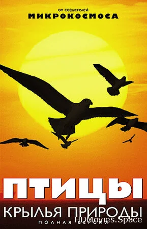 Птицы: Крылья природы 2002