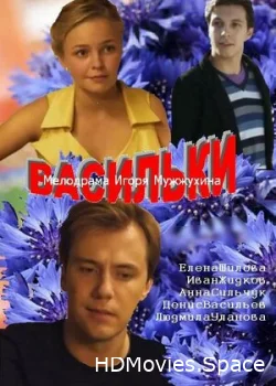 Васильки 2013