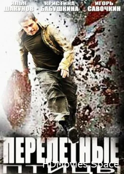 Перелётные птицы 2014