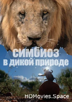 Симбиоз в дикой природе 2023