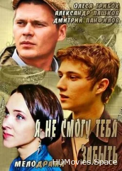 Я не смогу тебя забыть 2013