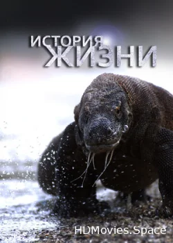 История жизни 2012