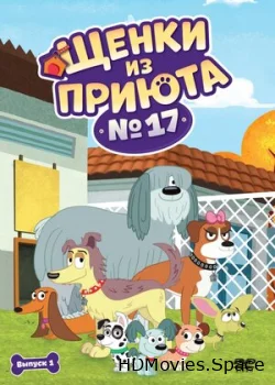 Щенки из приюта № 17 2010