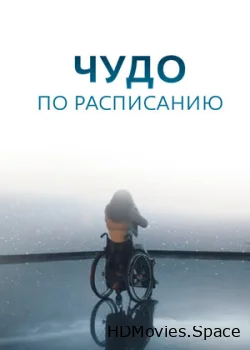 Чудо по расписанию 2016