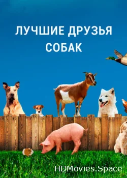 Лучшие друзья собак 2014