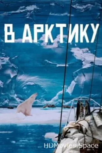 В Арктику