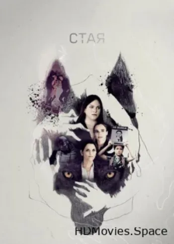 Стая 2019