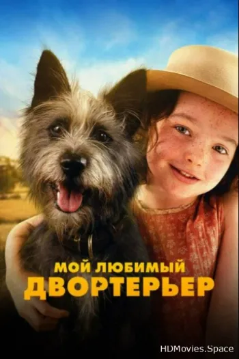 Мой любимый двортерьер 2024