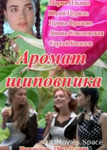 Аромат шиповника 2014