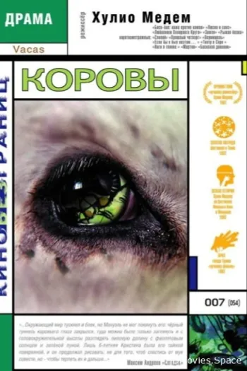 Коровы