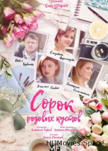 Сорок розовых кустов 2018
