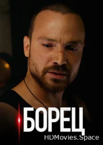 Борец 2017