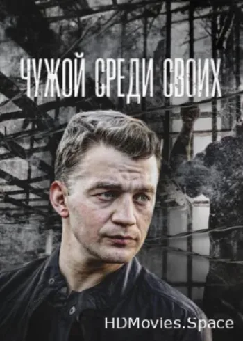 Чужой среди своих 2014