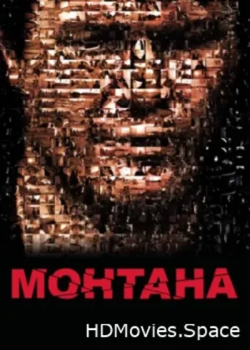 Монтана 2008