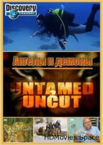 Дикие и опасные 2008