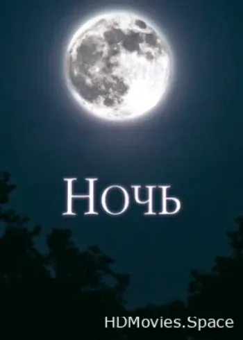 Ночь 2018