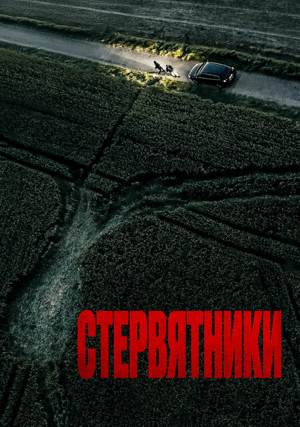 Стервятники 2025