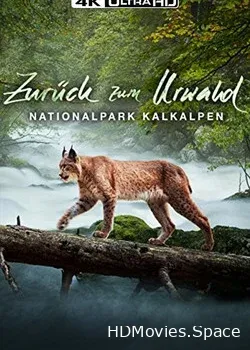 Создавая древний лес: Национальный парк Калькальпен (2015)