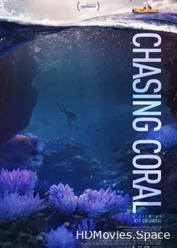 В поисках кораллов (2017)