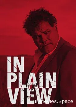 В Плэйнвью (2018)