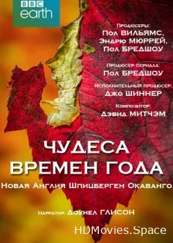 Чудеса времён года (2016)
