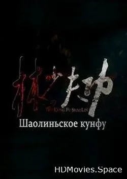 Шаолиньское Кунг Фу (2017)