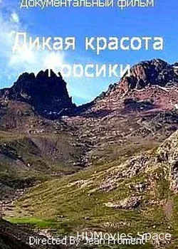 Дикая красота Корсики (2013)