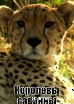 Animal Planet. Королевы саванны (2009)