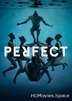 Совершенство (2016)